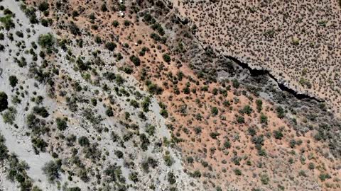 sahara desert nature