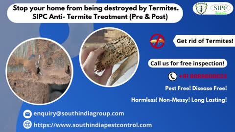 Termite Control Services in Bangalore