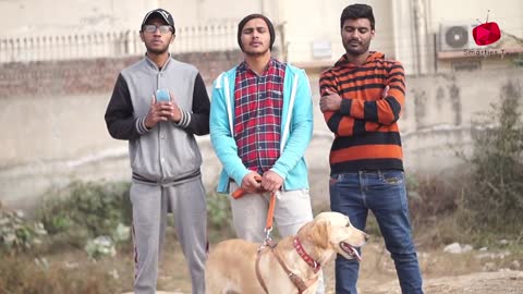 Real Dog Bark Prank @Smarties Prank TV