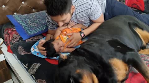 Jerry and Aaru are made for each other | Dog protecting baby | the rott best Video |