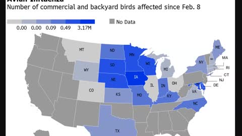 Bird Flu Spreads in US; Human Cases Reported in China