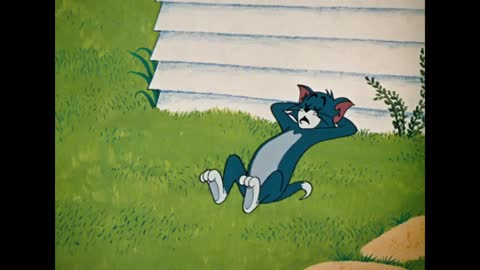 Tom & Jerry | A day with Tom & Jerry | Classic Cartoon Videos |