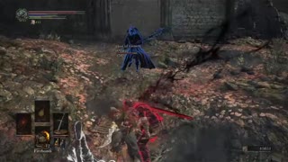 Dark souls 3, Invasion battle in the woods