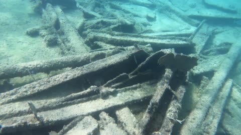 MSC Cruise Wreck Snorkel Bahama marine reserve 11-13-2023