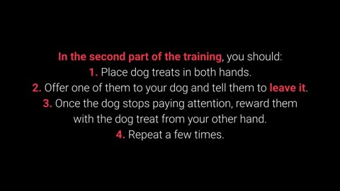 Basic Dog Training