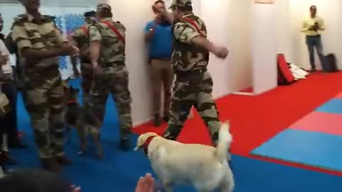 CISF demonstration of dog squad Amaging video