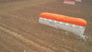 Winter cotton field 6