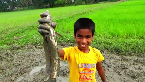 Little Boy Catch a Taki Fish | Fishing Video | Catch Fish