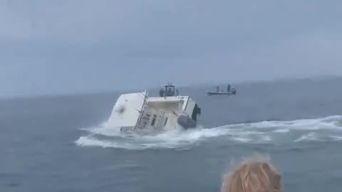 Video shows whale crash into boat off New Hampshire coast