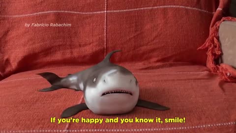 Cute Baby Shark Happy Animal Compilation