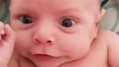 Funny Baby Videos playing