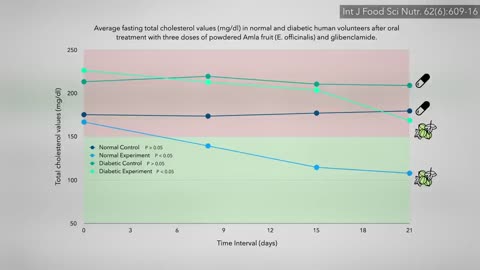 The Best Food For High Cholesterol