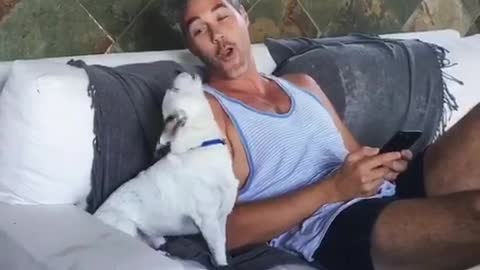 White dog hows with owner couch