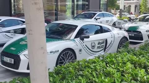 Super cars of Dubai Police