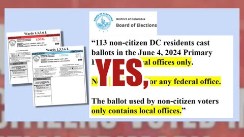 Fact Check: 113 Non-Citizens Did NOT Vote For President In DC June '2024 Presidential Primary'