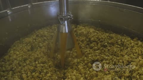 The Art of Brewing: A Deep Dive into Beer