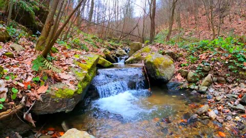 Waterfall In Forest