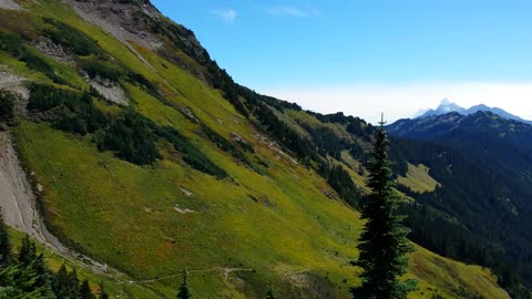 Gorgeous sub alpine Canadian rocky mountains.