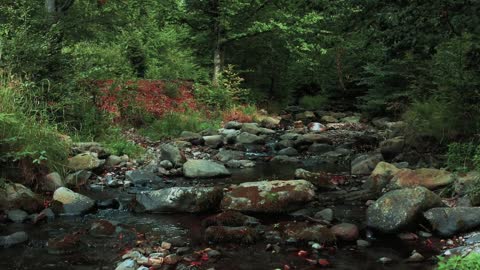 Quiet River