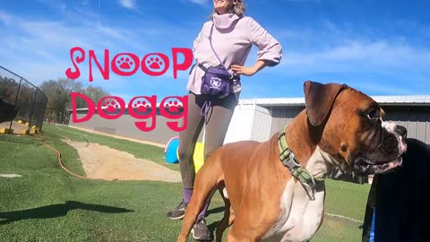 Snoop Dogg training in the Agility Tunnels