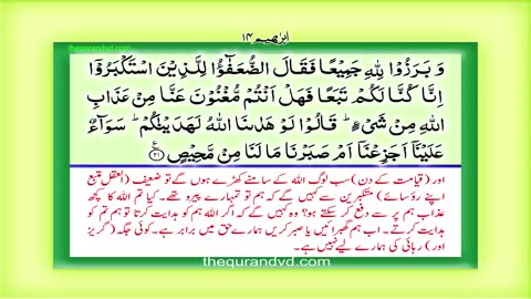 Para 13 - Juz 13 Wa ma ubarri u HD Quran Urdu Hindi Translation