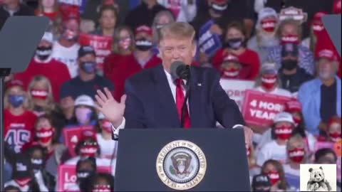 Massive Donald Trump rally in Georgia (live)