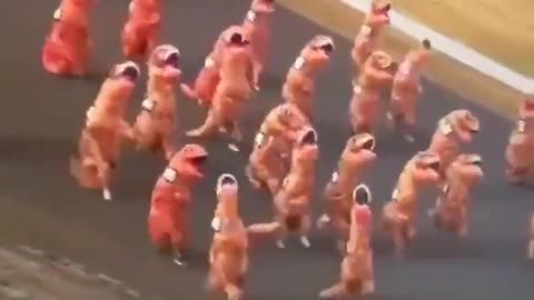 dinosaur race