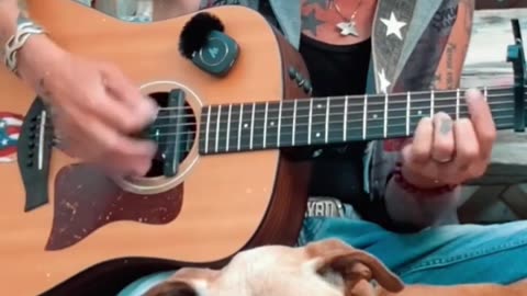 A short morning song by a man with a heart for animals and music