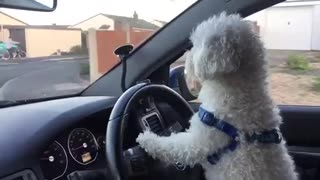 Driving Lesson