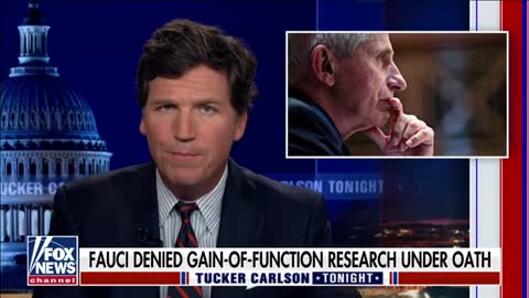 Tucker: Is Fauci Under Criminal Investigation?