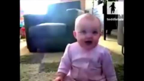 Funny dog and baby laughing