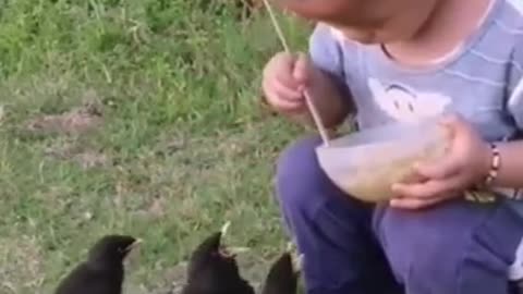 child feeding birds