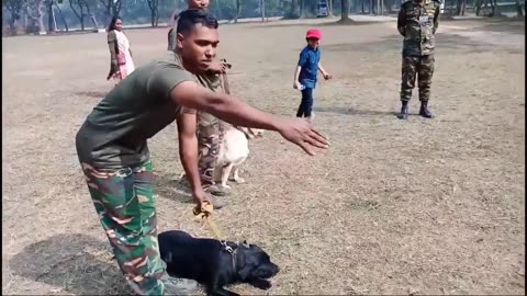 Army Animal Training Special Hand Signal - Dog Expert Show