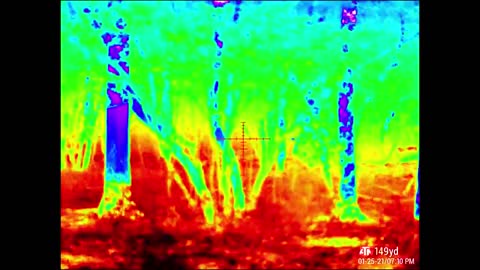 Thermal Safari With The ATN ThOR 4 640 2.5-25x