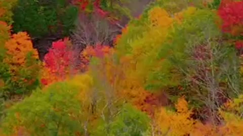 Kaaterskill Falls