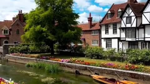 Beautiful little flowers by the river