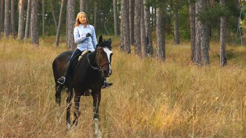 girl riding a horse walking in the woods