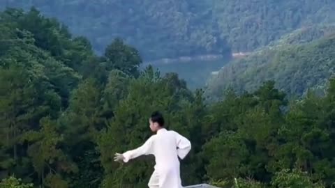 Wushu Kungfu