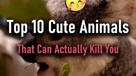 Top 10 Cute Animals That Can Actually Kill You