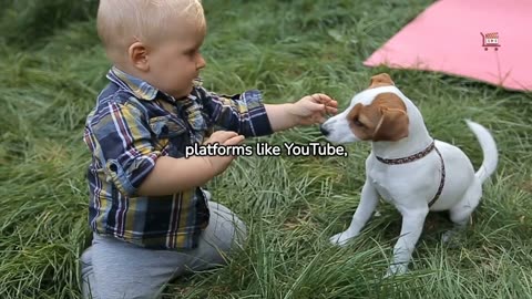 Why Do People Like Funny Dog Videos?