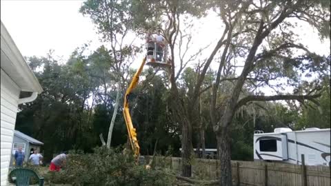 TREE CLEAN UP 4 ON 1-12-2022