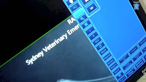 Taking bats to the vet Asher goes to see Adrian for xrays