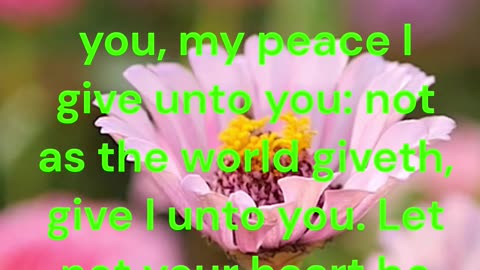 Peace I leave with you, my peace I give unto you John 14:27 #shorts