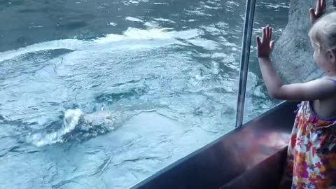 Playful Polar Bear Entertains Family at the Zoo