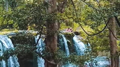 Waterfall in deep forests