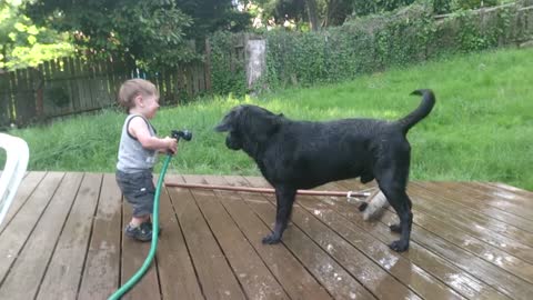 MENINO DANDO BANHO NO CACHORRO/BOY BATHING THE DOG