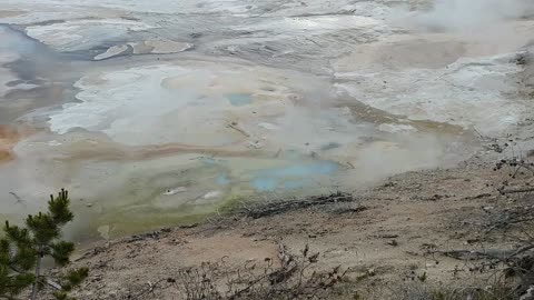 Yellowstone Beauty