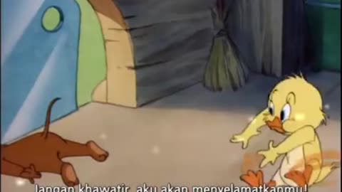 Tom and Jerry show