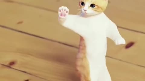 Dancer cat 😺