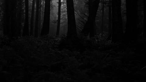 Horror Ambience with a Dark Forest - Atmospheric Scary Sounds for Horror